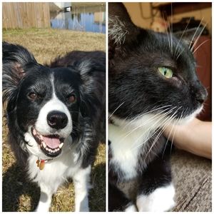 Meet your Posher, Grace